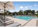 Community pool with lounge chairs and umbrellas at 4351 Cloud Hopper Way, Lutz, FL 33559