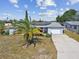 House with solar panels, driveway, and palm trees in the front yard at 7511 Tyson Dr, Port Richey, FL 34668
