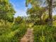 Peaceful nature trail with gravel path winding through lush greenery at 19815 Sea Rider Way, Lutz, FL 33559