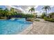 Community pool with a bridge and palm trees at 20028 Satin Leaf Ave, Tampa, FL 33647