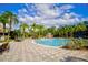 Large community pool with water features and lounge chairs at 20028 Satin Leaf Ave, Tampa, FL 33647