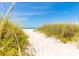 Sandy path leading to the beach, framed by tall grasses and a clear blue sky at 3302 E Maritana Dr, St Pete Beach, FL 33706