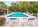 Community pool with lounge chairs at 3454 Hillmoor Dr, Palm Harbor, FL 34685