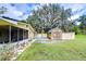 Backyard with screened porch, shed, and large oak tree at 33137 Cercelia Rd, Dade City, FL 33523