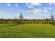 Expansive green backyard enclosed by an iron fence with small landscaping at 10316 Cross River Trl, Parrish, FL 34219