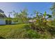 Large backyard with mature trees and a partially fallen tree at 3207 Acacia St, Lutz, FL 33558