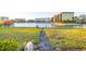 Scenic backyard overlooking the water features a concrete path with an adirondack chair at 52 Sandpiper Rd, Tampa, FL 33609