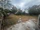 Large backyard with overgrown grass and a concrete slab at 9131 Kosimo St, New Port Richey, FL 34654