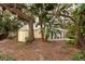 Small shed and lush landscaping adjacent to the house at 1311 E Park Cir, Tampa, FL 33604