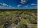 Aerial view of a ranch-style house on a large lot with mature trees at 17504 Marsh Rd, Lutz, FL 33558