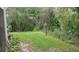 Small backyard with grass and a lamp post next to a wooded area at 3161 Lake Pine S Way # B1, Tarpon Springs, FL 34688