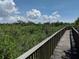 Wooden boardwalk path through lush mangrove trees at 4305 Bayside Village Dr # 104, Tampa, FL 33615