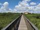 Wooden boardwalk offering scenic views of lush greenery at 4305 Bayside Village Dr # 104, Tampa, FL 33615