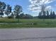 View of open green space with trees and chain link fence at 6803 S Englewood Ave, Tampa, FL 33611