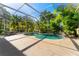 Inviting kidney-shaped swimming pool with screened enclosure at 1858 Longview Ln, Tarpon Springs, FL 34689