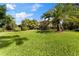 Large backyard featuring a grassy area, palm trees, and a view of the house at 1858 Longview Ln, Tarpon Springs, FL 34689
