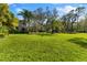Expansive green lawn backyard, offering a peaceful and private outdoor space at 1858 Longview Ln, Tarpon Springs, FL 34689
