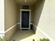 Front entry with dark blue door and scarecrow decoration at 8519 Sunshower Pl, Parrish, FL 34219