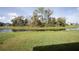 Large backyard with pond and natural landscape at 8519 Sunshower Pl, Parrish, FL 34219