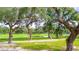 Scenic view of the golf course and pond at 36752 Grace Ave, Zephyrhills, FL 33542