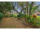 Backyard with mature trees and diverse plantings at 5479 Blue Heron Ln, Wesley Chapel, FL 33543