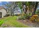 Lush backyard with tropical landscaping and spacious grassy area at 5479 Blue Heron Ln, Wesley Chapel, FL 33543