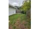 Backyard shot showing ample green space bordered by a wooden fence at 301 W Chelsea St, Tampa, FL 33603