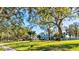 Charming home with lush green front lawn, mature trees, and inviting curb appeal at 518 Riverside Dr, Tarpon Springs, FL 34689