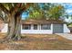 Front view of a white single story home with a large tree at 8255 Greenleaf Cir, Tampa, FL 33615