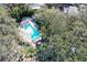 Community pool surrounded by lush trees and landscaping at 2920 Star Apple Ct, Palm Harbor, FL 34684