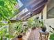 Lushly landscaped patio with various potted plants at 2920 Star Apple Ct, Palm Harbor, FL 34684