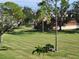 Expansive grassy lawn with mature trees, ideal for relaxing or recreation at 4915 Bay Ne St # 122, St Petersburg, FL 33703
