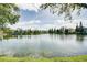 Community lake view with houses and trees at 8845 Moonlit Meadows Loop, Riverview, FL 33578