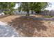 Landscaped yard with mature trees and chain link fence at 1537 Excalibur St, Holiday, FL 34690