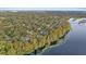 Aerial view of waterfront property with lake and lush vegetation at 223 S Riverhills Dr, Temple Terrace, FL 33617