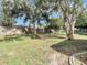 Fenced backyard with established trees and grassy area at 6269 Skyline Ct, Spring Hill, FL 34606