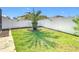 Landscaped backyard with lush lawn and palm tree at 13444 Golden Lime Ave, Spring Hill, FL 34609