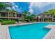 Community pool with lounge chairs and palm trees at 901 Normandy Trace Rd, Tampa, FL 33602