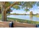 Scenic lake view from a park bench under a large tree at 1028 Orca Ct, Holiday, FL 34691
