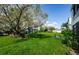Large grassy backyard with mature tree and bicycle at 211 S Mcmullen Booth Rd # 189, Clearwater, FL 33759