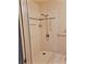 Bathroom features a walk-in shower with a handheld shower head at 10006 N Mitchell Ave, Tampa, FL 33612