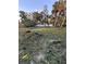 Large backyard with mature palm trees and cleared grassy area at 21048 Peachland Blvd, Port Charlotte, FL 33954