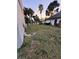 Side yard with grassy area and palm trees at 21048 Peachland Blvd, Port Charlotte, FL 33954