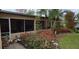 Backyard with palm trees and shrubs at 7054 Hibiscus S Ave, South Pasadena, FL 33707