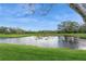 Serene pond view with grassy area and mature trees at 1433 Emerald Hill Way, Valrico, FL 33594