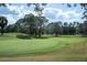 Lush green golf course at 11401 Georgetown Cir, Tampa, FL 33635