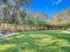 Spacious backyard with fenced enclosure and lush lawn at 364 Terrace Rd, Tarpon Springs, FL 34689