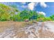 Large backyard with bamboo grove and various trees at 7923 18Th E Ave, Palmetto, FL 34221