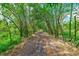 Path through a dense bamboo forest at 7923 18Th E Ave, Palmetto, FL 34221