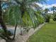 Landscaped area showcasing palm trees and tropical plants at 2421 E Del Webb Blvd, Sun City Center, FL 33573
